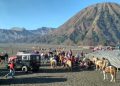 Wisata Gunung Bromo