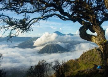 Tips-Backpacker-Ke-Bromo