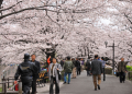 Wisata-Di-Jepang