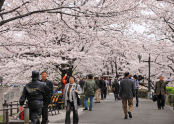 Wisata-Di-Jepang