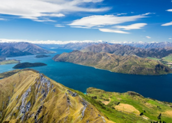 Coffee-Shop-New-Zealand