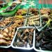 Rekomendasi Tempat Makan Pecel Terfavorit Di Madiun